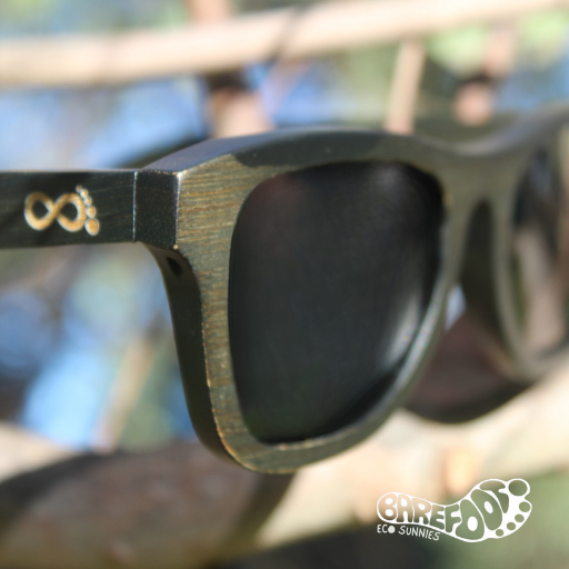 Barefoot Eco Sunnies South Mole Island Black