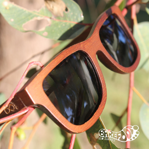 Barefoot Eco Sunnies North Mole Island